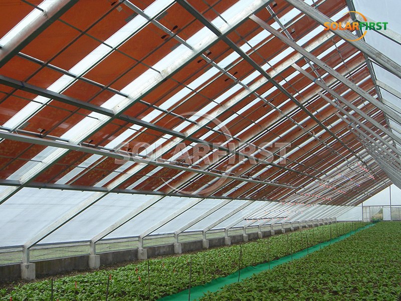 425m² BIPV Greenhouse in Cambridge, UK